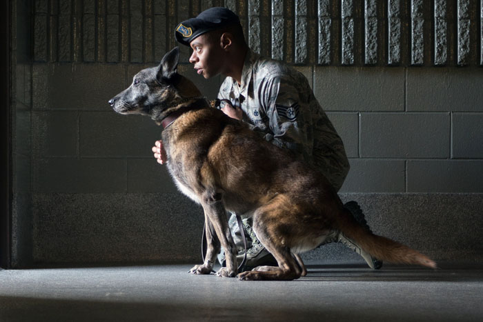 military-dogs-8